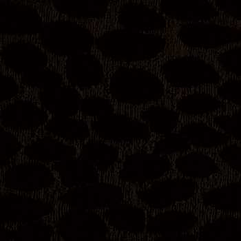 Black Wildness Black Wildness